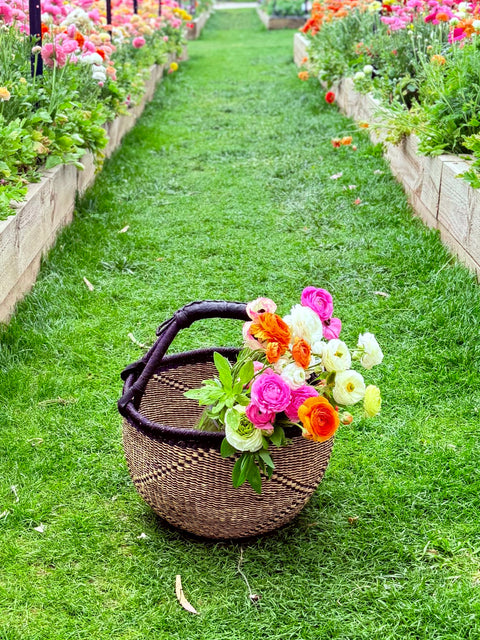 Canden Bolga Basket, Large | Colour 